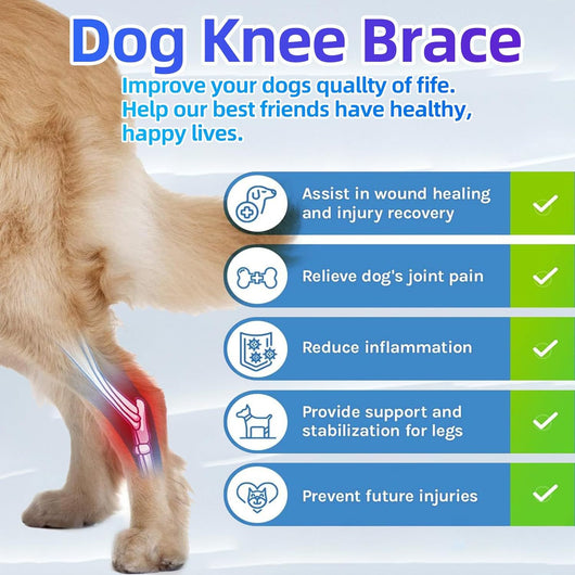 Black pet leg brace for dog injury assistance and rehabilitation, featuring adjustable straps and a supportive design. - Image 14