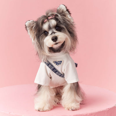 Ropa de Verano para Perros Pequeños - Teddy Schnauzer Bichón - Image 3