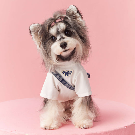 Ropa de Verano para Perros Pequeños - Teddy Schnauzer Bichón - Image 3