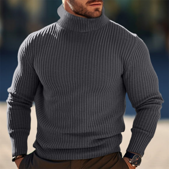 Men's Turtleneck Sweater Fall Winter Striped Solid Colors