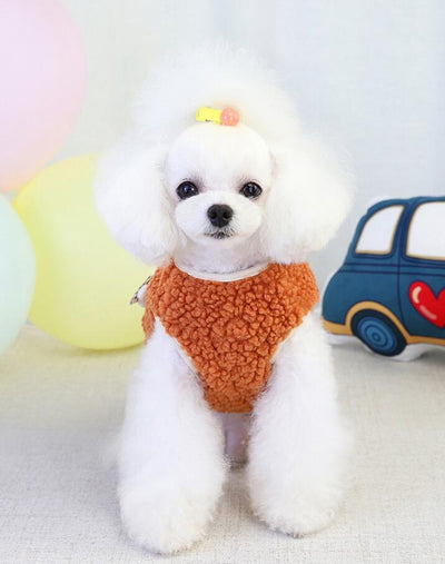 Chaleco de Terciopelo para Mascotas Otoño e Invierno - Diseño Adorable - Image 14