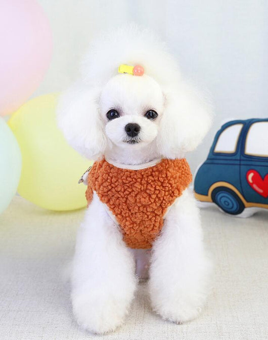 Chaleco de Terciopelo para Mascotas Otoño e Invierno - Diseño Adorable - Image 14