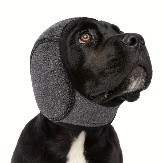 Gorro Impermeable para Perros - Protección Otoño e Invierno - Image 6