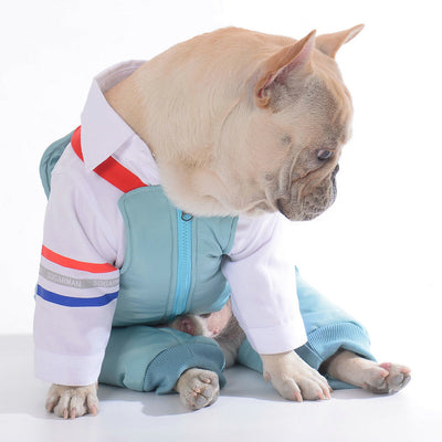 Pantalones de Algodón para Perro Teddy - Diseño Adorable con Correa - Image 11