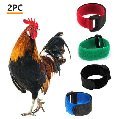 Pack 2 Collares Gallinas Anti-Ruido sin Gancho - Banda Cuello Cómoda - Image 18