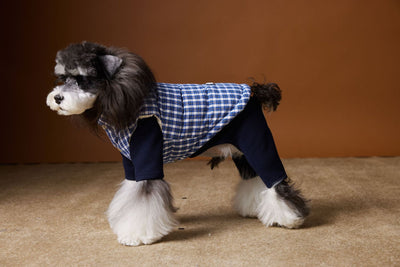 Chaleco Acolchado de Invierno para Perros - Image 5