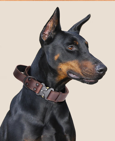 Arnés de Cuero Resistente con Cuerda de Tracción para Perros Grandes - Image 13