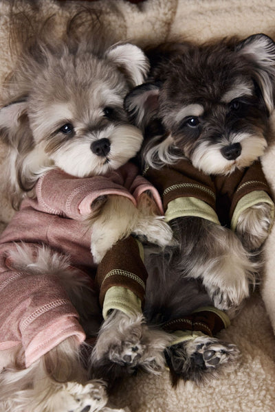 Ropa para Perros Teddy Schnauzer Bichon Bicolor Cómoda - Image 32