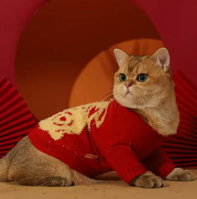 Suéteres de Otoño e Invierno Anti-Pérdida de Pelo para Gatitos y Mascotas