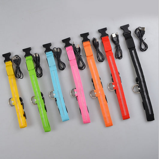 Collar LED Luminoso para Perros y Gatos - Seguridad Nocturna con Luz Fluorescente - Image 3