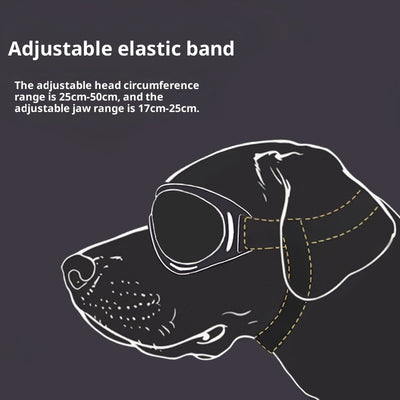 Gafas Protectoras Antiaire para Perros - Image 9