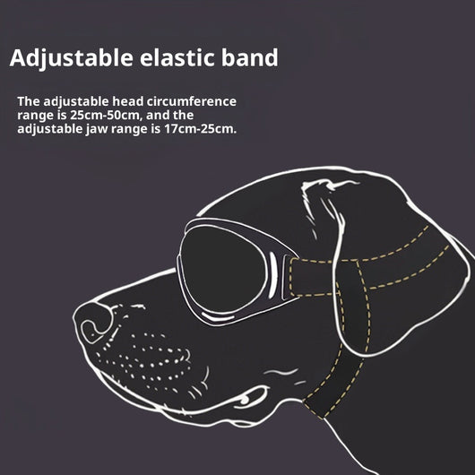 Gafas Protectoras Antiaire para Perros - Image 9