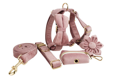 Collar para Perro Morado Claro con Cuerda Ajustable - Image 16