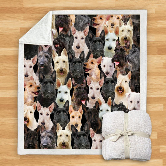 Manta de Franela Estampada para Perros de Diseño Moderno - Image 75