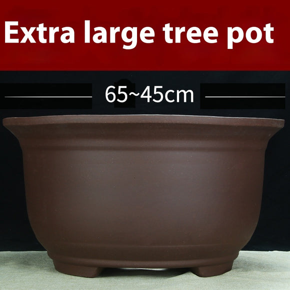 Maceta Cerámica Púrpura Grande 60cm para Árboles y Plantas Antiguas