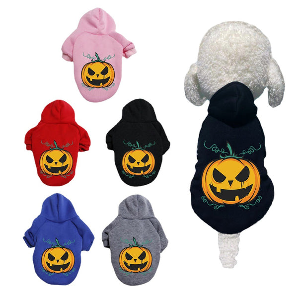 Suéter para Perro con Patrón de Calabaza Halloween