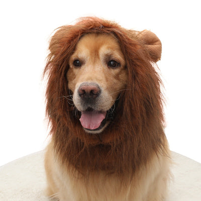 Peluca de León para Perros - Gorro Divertido y Cómodo - Image 15