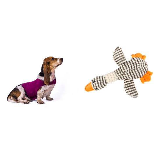 Chaleco Calmante para Gatos - Tratamiento de Ansiedad y Estrés - Image 10