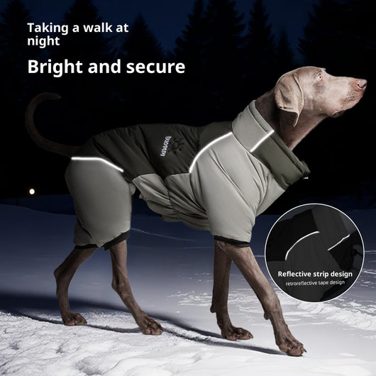 Abrigo Reflectante para Perros - Algodón Grueso con Visibilidad Alta - Image 3