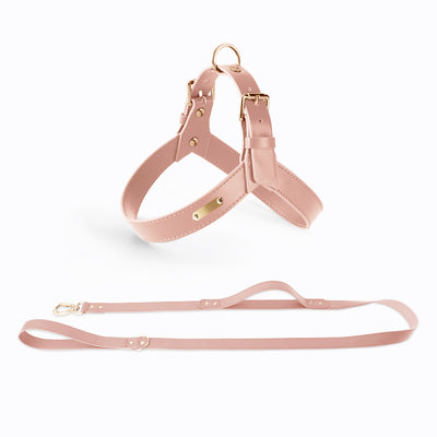 Arnés Chaleco para Perros y Gatos - Correa de Pecho Ajustable para Verano - Image 8