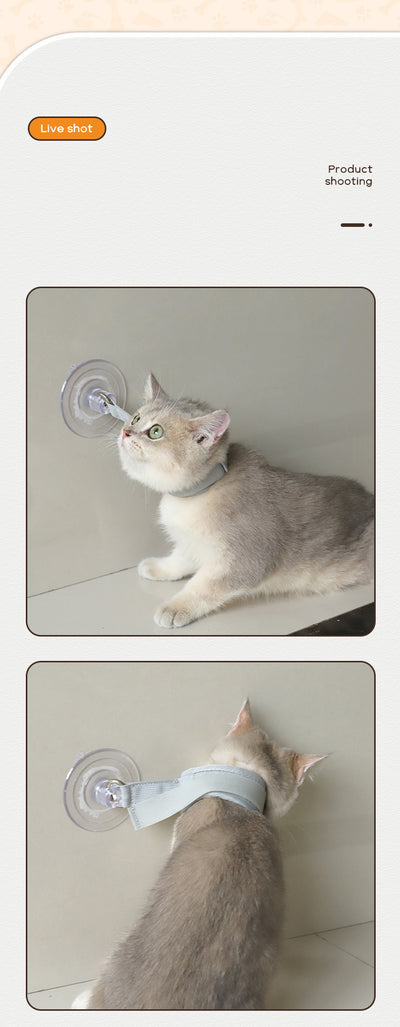 Light gray pet collar with a clear suction cup, designed to secure cats or puppies during bathing or grooming. - Image 12