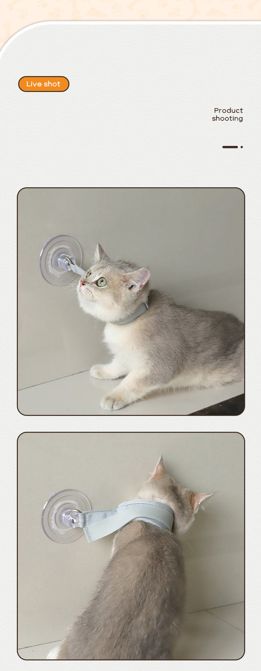 Light gray pet collar with a clear suction cup, designed to secure cats or puppies during bathing or grooming. - Image 12