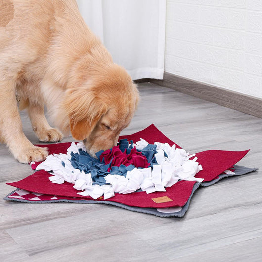 Comedero Lento Antiestrés para Mascotas - Image 11