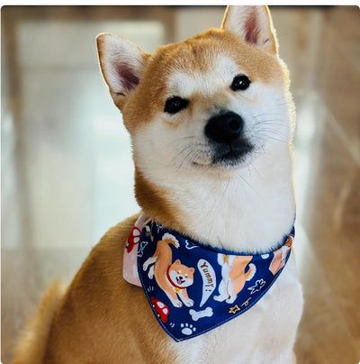 Carpeta Triangular Reversible Shiba Inu con Diseño Doble Cara - Image 3