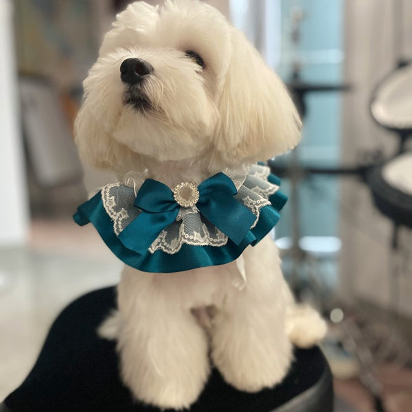 Collar Bandana Personalizado para Gato con Cinta Hecha a Mano