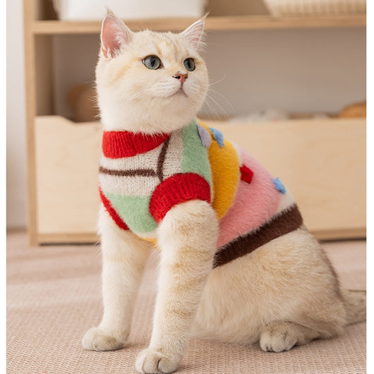 Suéter a Juego para Mascotas: Diseño de Estrellas y Rayas Otoño-Invierno - Image 18