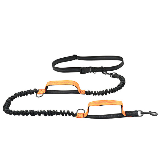 Correa Extensible para Pasear Mascotas - Portátil y Segura - Image 8