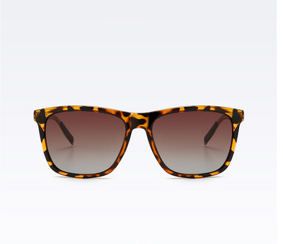 Tortoise shell square frame sunglasses with brown gradient polarized lenses on a white background. - Image 8