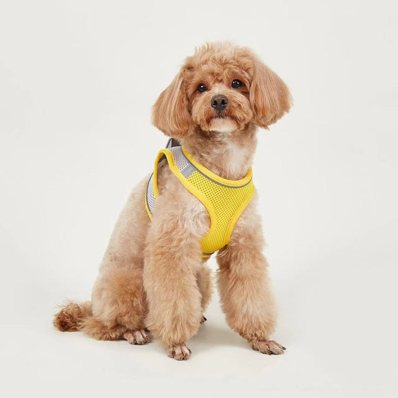 Arnés Chaleco Respirável con Correa para Perros Pequeños - Teddy, Bichón, Pomerania