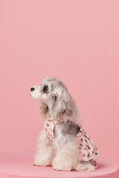 Falda Denim con Tirantes para Perros Pequeños Schnauzer y Maltés - Image 22