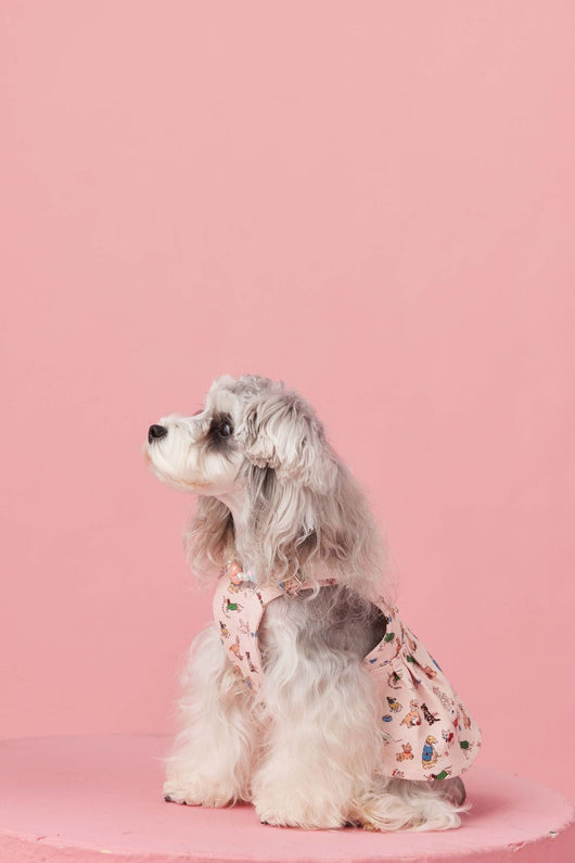 Falda Denim con Tirantes para Perros Pequeños Schnauzer y Maltés - Image 22