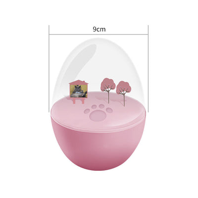 Kit DIY Huella de Mascota - Memorial Personalizado - Image 5