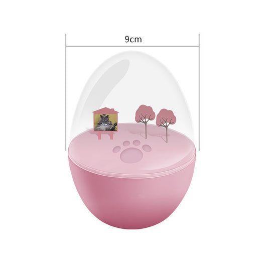 Kit DIY Huella de Mascota - Memorial Personalizado - Image 5