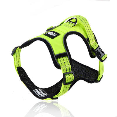 Chaleco Reflectante Transpirable para Perro con Cuerda - Image 3