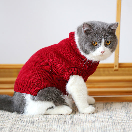 Suéter Gato Azul Británico para Otoño e Invierno - Image 25