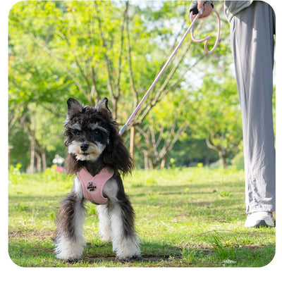 Arnés de Paseo con Correa de Mano para Mascotas - Image 23