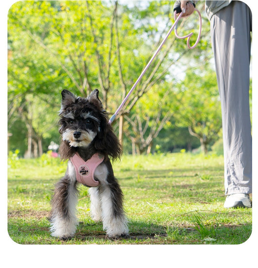 Arnés de Paseo con Correa de Mano para Mascotas - Image 23