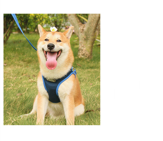 Arnés de Pecho para Perros y Gatos - Correa Segura y Cómoda - Image 11