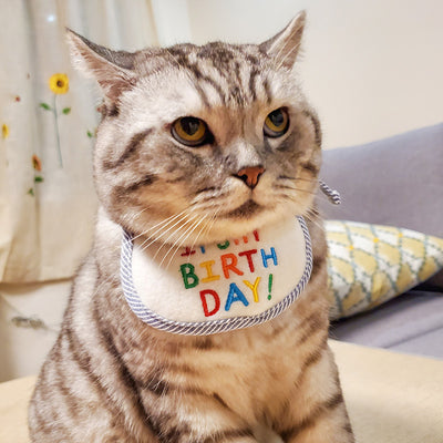 Pañoleta Triangular para Mascotas - Bandana Festiva para Gatos y Perros - Image 3