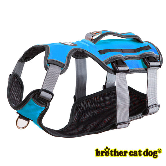 Banda de Soporte Toraco-Lumbar para Perros - Image 10