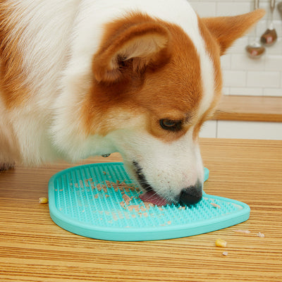 Comedero Doble Antivoracidad para Gatos y Perros con Lengüetas Estimulantes - Image 7