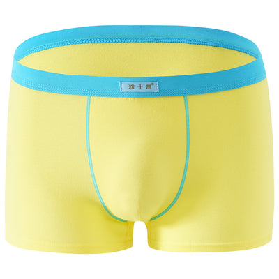 Shorts de Algodón Talla Grande Cómodos y Sensuales - Image 10