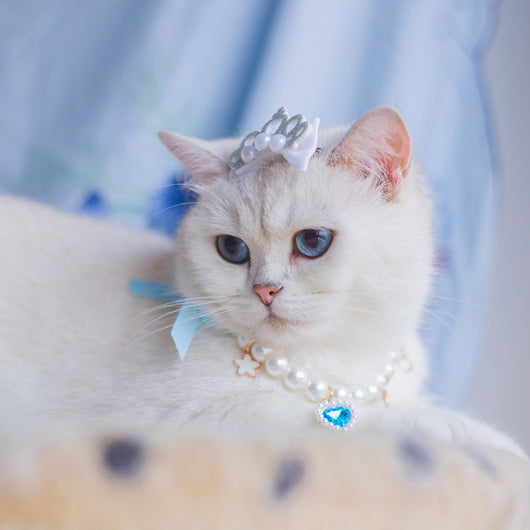Vestido de Moda para Gatos - Falda Elegante y Adorable - Image 8