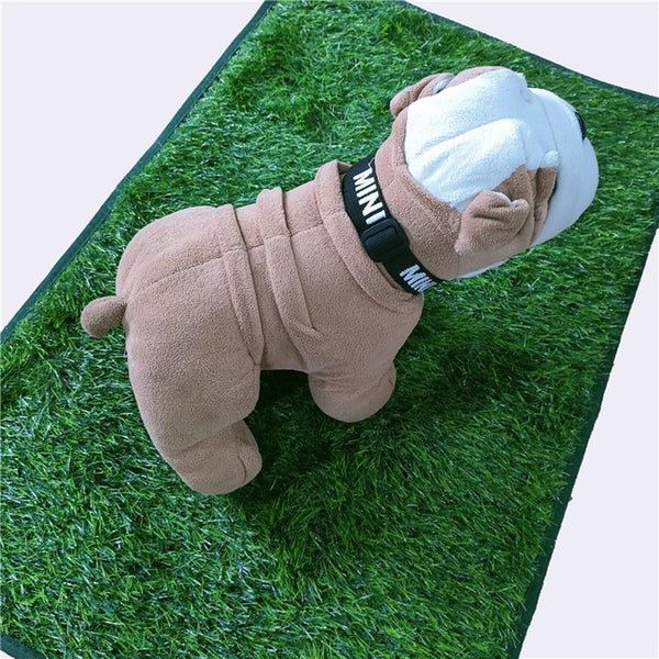 Tapete Absorbente para Mascotas con Base Antideslizante