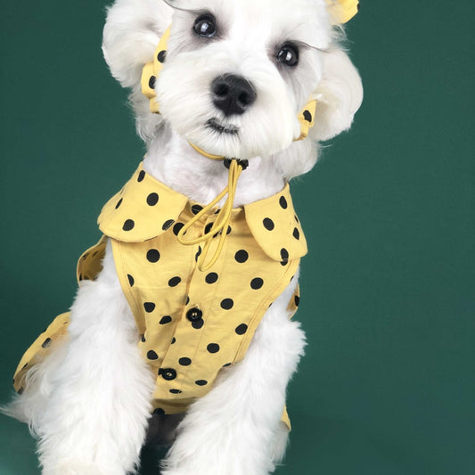 Vestido Princesa Verano para Perros Pequeños - Ropa Fresca para Mascotas
