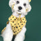 Vestido Princesa Verano para Perros Pequeños - Ropa Fresca para Mascotas